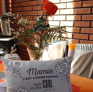 Meet your Posher, Carol-cat